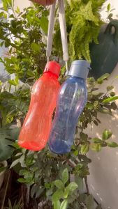 Bình Nước Tupperware Eco Bottle Gen II 500ml