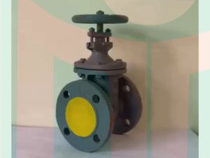 VAN CHẶN HQ DN50( Hàng nhập khẩu )