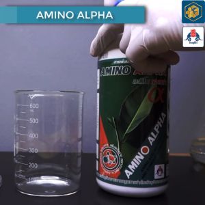 Amino Alpha Pack5(1ลิตรx5ขวด) อะมิโนมากกว่า 20 ชนิด เข้มข้นสูง เต็มไปด้วยคุณภาพ เติบโตได้ดี