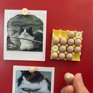 XIONGBUFAN | Egg-Shaped Mini Fridge Magnet