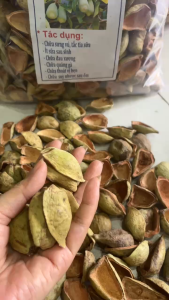 Quả trâu cổ khô thu hái rừng bổ đôi bỏ hạt phơi khô từ quả trâu cổ tươi già hỗ trợ tắc kia sữa bổ thận tráng dương