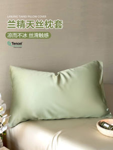 Vỏ Gối Lụa Mùa Hè Vỏ Lót Lụa Mát Mẻ Cho Gia Đình Vải Lụa Nguyên Chất Chất Liệu Vải Lụa Nguyên Chất 100% Đệm Lót Gối Đơn