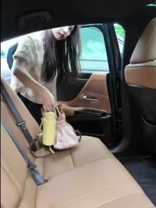 Car Rear Seat Hook