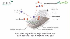Miếng dán khử mùi đa năng Airpurity kháng khuẩn khử mùi 99% bằng công nghệ Nano cho tủ lạnh tủ giày tủ quần áo...