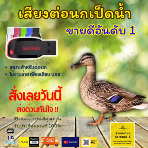 Flash Drive เสียงต่อ นกเป็ดน้ำ – คมชัด 6 ชั่วโมง ไม่มีโฆษณา | ส่งด่วน Flash Express | เก็บเงินปลายทาง