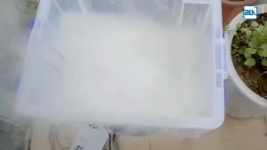 Vỉ động cơ phun sương siêu âm 10 mắt công suất 250w dùng cho vườn lan nhà yến tạo hơi sương siêu khỏe ( kèm nguồn chống ẩm )