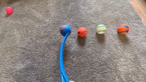 Đồ chơi cho chó Petmate Chuckit Ultra Ball Size M-XXL 18M Ball Launcher