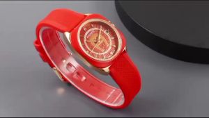 Paket Box Exclusive + Paperbag + Buku Manual / Jam Tangan Aigner Logo VA-975OR / Jam Tangan Fashion Wanita Tali Rubber Diameter 32 cm