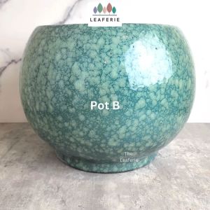 The Leaferie Aura Big plant pots Ceramic flowerpot flowerpots flower pot planter planters