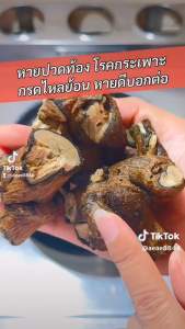 รากสาบเสือ 300 กรัม หายปวดท้อง กรดไหลย้อนหาย ดีบอกต่อ หายดีมาแล้ว