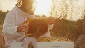 [GIÁ SỐC] HONEYLAND - Bộ 5 hủ mật hoa rừng 500g tặng 3 hủ mật hoa rừng 250g giúp giảm cân đau dạ dày dưỡng da