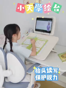 SSKY小天 YD20 Double-Layer Read and Draw stand Drawing Stand Writing Board Reading and Writing Laptop stand