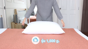 Lazy Duck Heaven หมอนขนเป็ดเทียม ขนาด 1500g