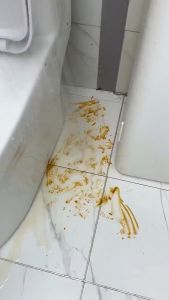 Sikat Gagang Kamar Mandi Alat Wiper Pembersih Lantai 3in1 Three Angle Untuk Membersih kan Sudut Dan Kaca