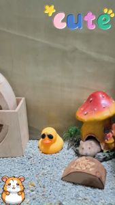 Udang kering 10g Snack Hamster/Sugarglider