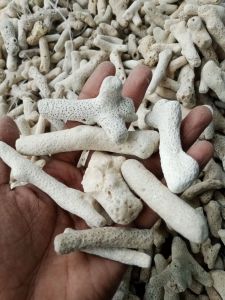 Karang jahe urai 1kg filter kolam koi dan aquarium