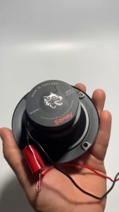 Loa treble 10cm SOWAY từ kép 55+50mm - giúa 1 cái - loa trép giấy