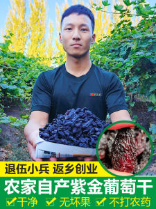 Specialty Dried Grapes from Xinjiang Large Wind-Dried Fruits 500g with Seeds Purple Grapes Snacks Nutritious Edible Products