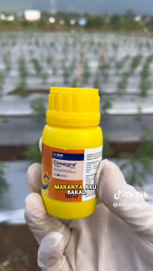 Cimegra 50ml Insektisida 100sc Untuk Basmi Ulat Kutu Serangga Di Tanaman 50ml paling ampuh