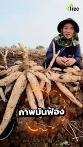 ถูกสุด4TREE BOOSTER โฟร์ทรี+บู๊สเตอร์ คู่หูพลังคูณ4 อินทรีย์ธรรมชาติสูตรอิออน ช่วยเร่งราก พืชโตเร็ว เขียวนาน ของแท้100%