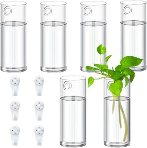 3/6 Pcs Glass Wall Vase for Plants Indoor Hanging Propagation Planter Container Holder with Plastic Invisible Traceless Hook