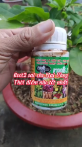 Phân bón lá - Siêu Kích Rễ Roots 2 USA - Nhập Mỹ