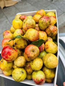 Táo mèo tươi tây bắc 5kg