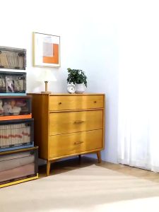 Foldable Storage Box Organizer Clothes Storage Scilla Large Capacity Portable Transparent Storage Box Transparent Double