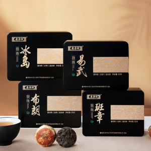 QINGFENGXIANG | Long Zhu Raw Pu-erh Tea Yiwu Bulang Bingdao Banzhang