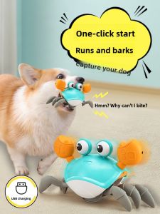 VOA | Voice & Entertainment Dog Toy Electric