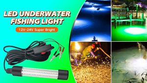 Penangkap Ikan 12V: Menarik Penangkap Ikan & Lampu Penangkap Ikan Cumi-cumi