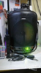 QS-4001 8 Inch Karaoke Wireless Bluetooth Speaker with Mic & Remote