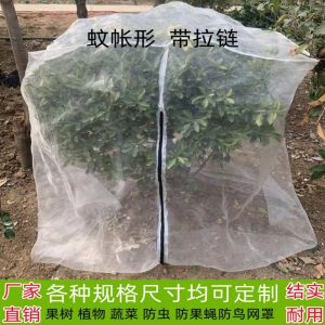 Waxberry Mesh Cover Wax Apple Blueberry Net Fruit Tree Fly Net Bird-Proof Net Cherry Mesh Curtain Mosquito Net Vegetable Thickened 40