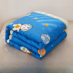Summer Washable Thin Quilt