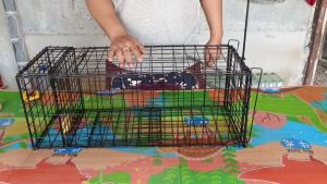 กรงดักอีเห็น - ดักพังพอน ดักนกกวัก ดักนกกระปูด และสัตว์อื่นๆ ได้หลายชนิด ดิเคย กรอบเทที่นี้ใช้วิธีการบริหารความละเอียดที่มีความสามารถ กระบวนการดักเพื่อให้คุณสัมผัทวิตามินที่สุด