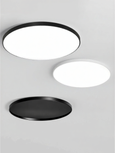 DGY | New Thin Triple-Protected Ceiling Light