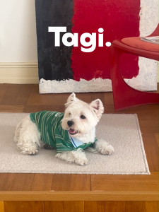Tagi. Imagine Stripes Pet Polo T-Shirt Vintage