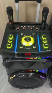 PORTABLE SPEAKER NDR-1260 WIRELESS BLUETOOTH SPEAKER 10"*2 USB/TWS/BT/FM/TF/Remote Control /Wireless mic