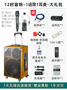 High Power Outdoor Portable Singing Sound System with Microphone Large Bass Stereo Waterproof Dustproof Card USB Remote Control