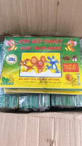 COMBO 20 Keo dính chuột