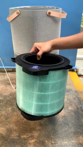 Local Seller Replacement Compatible with for Air purifier electrolux A9 PA91-406DG/GY Filter Accessories HEPA&Active Carbon Nano Protect filter Air Purifier Accessories