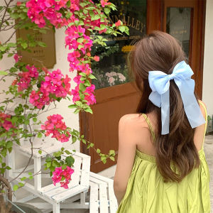 Decorative Bow Hair Clip