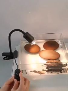 MiniSun UVA​ UVB​ 3.0​ หลอดไฟให้ความร้อน 25w 50w 75w สำหรับเต่าน้ำ​​ เต่าบก​ สัตว์เลื้อยคลาน ใช้คู่กับขั้วหลอดไฟเซรามิค​ได้