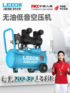 Portable Industrial Grade Air Pump Low Oil Pressure Woodworking High Pressure Miniature Air Compressor Cast Iron Body Electric Drive