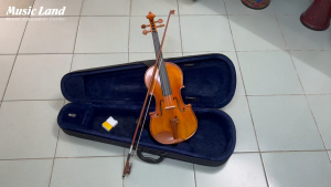 Đàn Violin Amati VW30M – Chính Hãng
