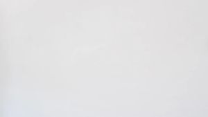 [FASHIONADEK] BAJU KAOS ANAK LAKI-LAKI LENGAN PENDEK GAMBAR DINOSAURUS WARNA PUTIH