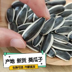 Freshly Roasted Sunflower Seeds 5kg