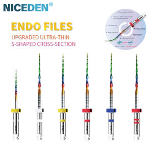 Dental Rotary Rainbow Files Heat Activated NiTi Canal Root Files Can Bend Endodontic Treatment Rotary File 6pcs/Box