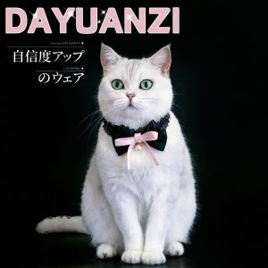 Pet Princess Bow Necklace Pearl Velvet Elastic Lace Cat Puppy Collar Birthday Adjustable Accessories