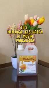 MADU MURNI ASLI SEHATIN 1KG NATURAL RAW HONEY / MADU MURNI MULTIFLORA 100% MURNI